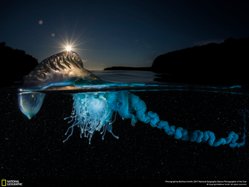 Illustration for article titled Las fotos ganadoras del concurso anual de National Geographic muestran un planeta tan hermoso que no lo merecemos